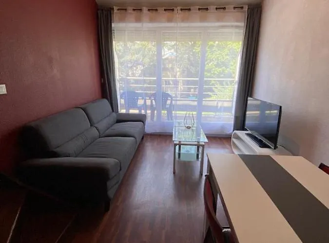 Les Ecrins 公寓 卢德